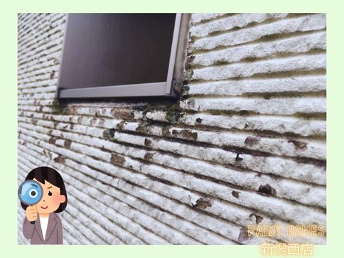 【新潟市・三条市の方必見！】外壁・屋根塗装のポイントとセルフ劣化診断